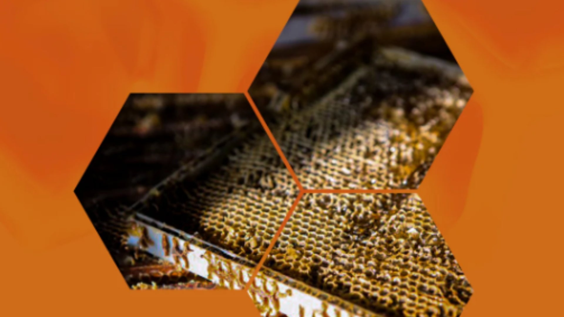 Raw Manuka Honey