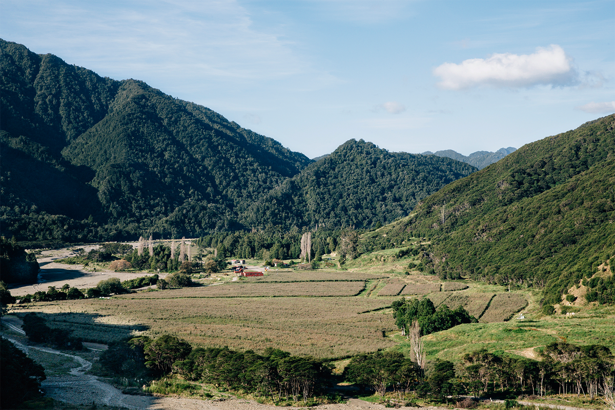 News Report: New Zealand Manuka Group on bringing sustainability centre stage