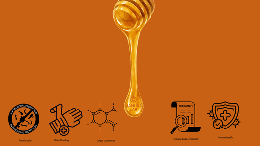 Manuka honey benefits graphic 