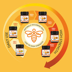 Mānuka Honey 525+ MGO 250G - Manuka Honey MGO Infographic