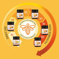 Mānuka Honey 850+ MGO 250G - Manuka Honey MGO Infographic